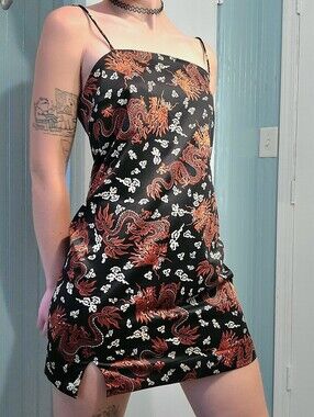 zara dragon dress
